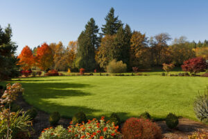 Best Broken Arrow OK Lawn Care | Great lawncare is here for you!