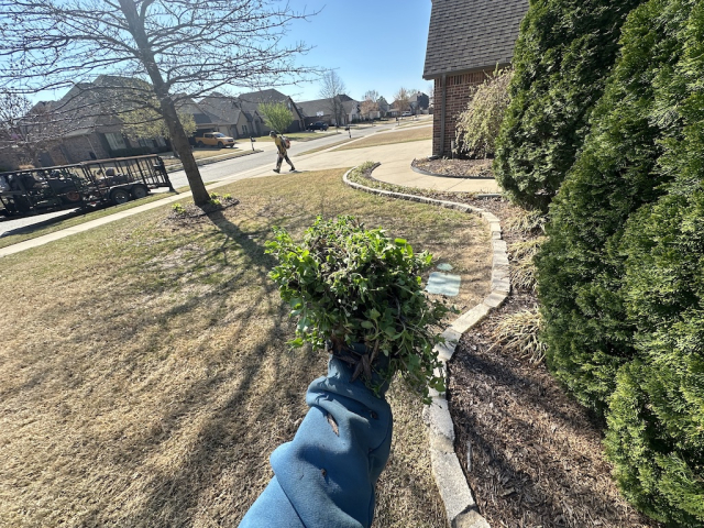 OwassoLandscaping24