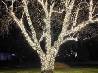 Holiday Lights Legacy Landscape Broken Arrow Ok Christmas Lights 037 Holiday Lights Legacy Landscape Broken Arrow Ok Christmas Lights 037