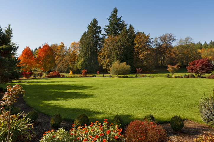 Best Broken Arrow OK Lawn Care | You Will Love Our Experience