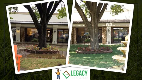 Legacy-Landscape-Before-and-After-1