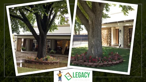 Legacy-Landscape-Before-and-After-11