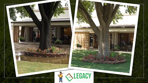 Legacy-Landscape-Before-and-After-12