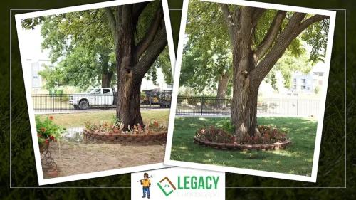 Legacy-Landscape-Before-and-After-3