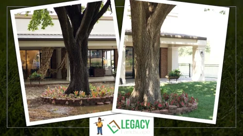 Legacy-Landscape-Before-and-After-5