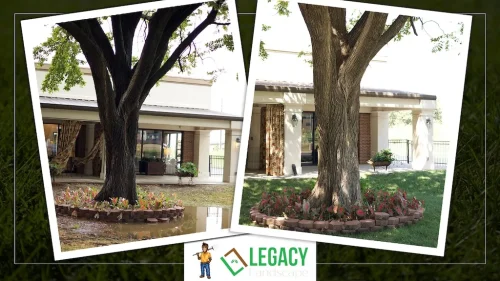 Legacy-Landscape-Before-and-After-7